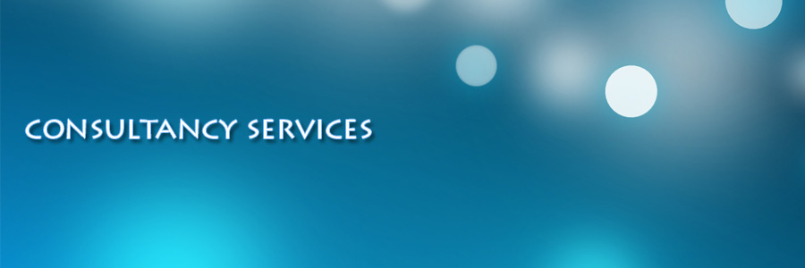 Consultancy Services